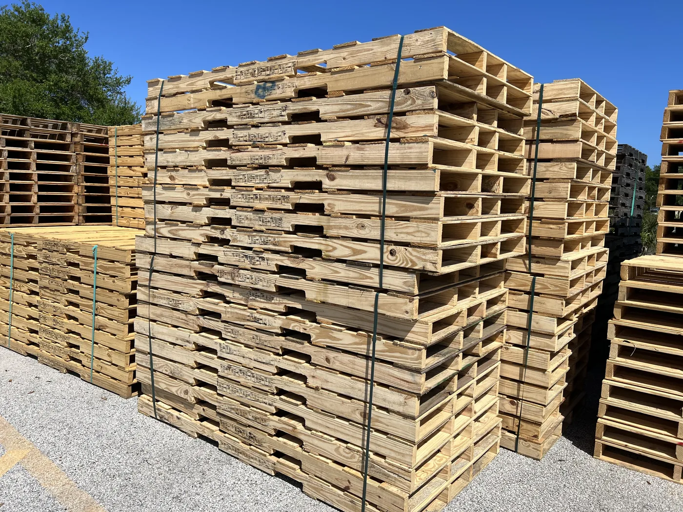 Retail distribution pallets