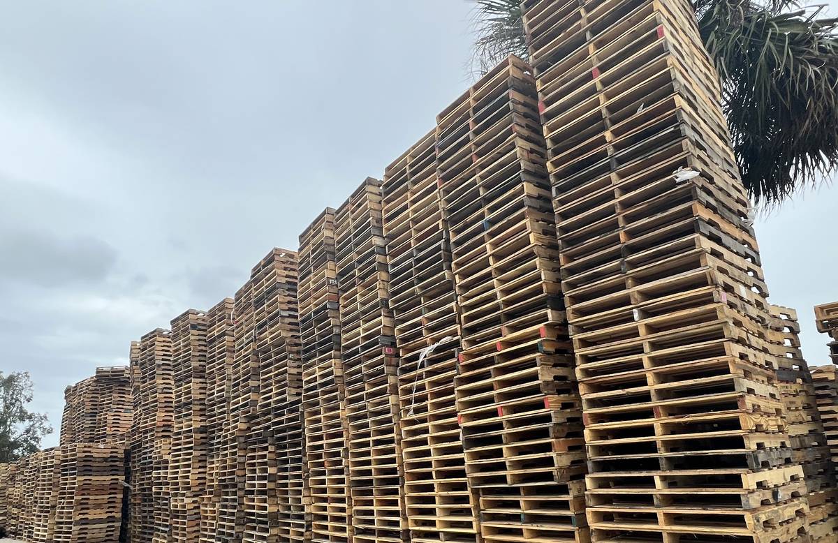 Florida pallet supplier yard with thousands of pallets in stock for bulk ordering