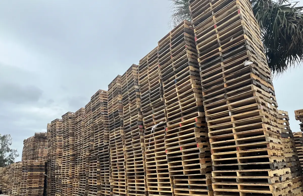 Pallet supplier Florida yard