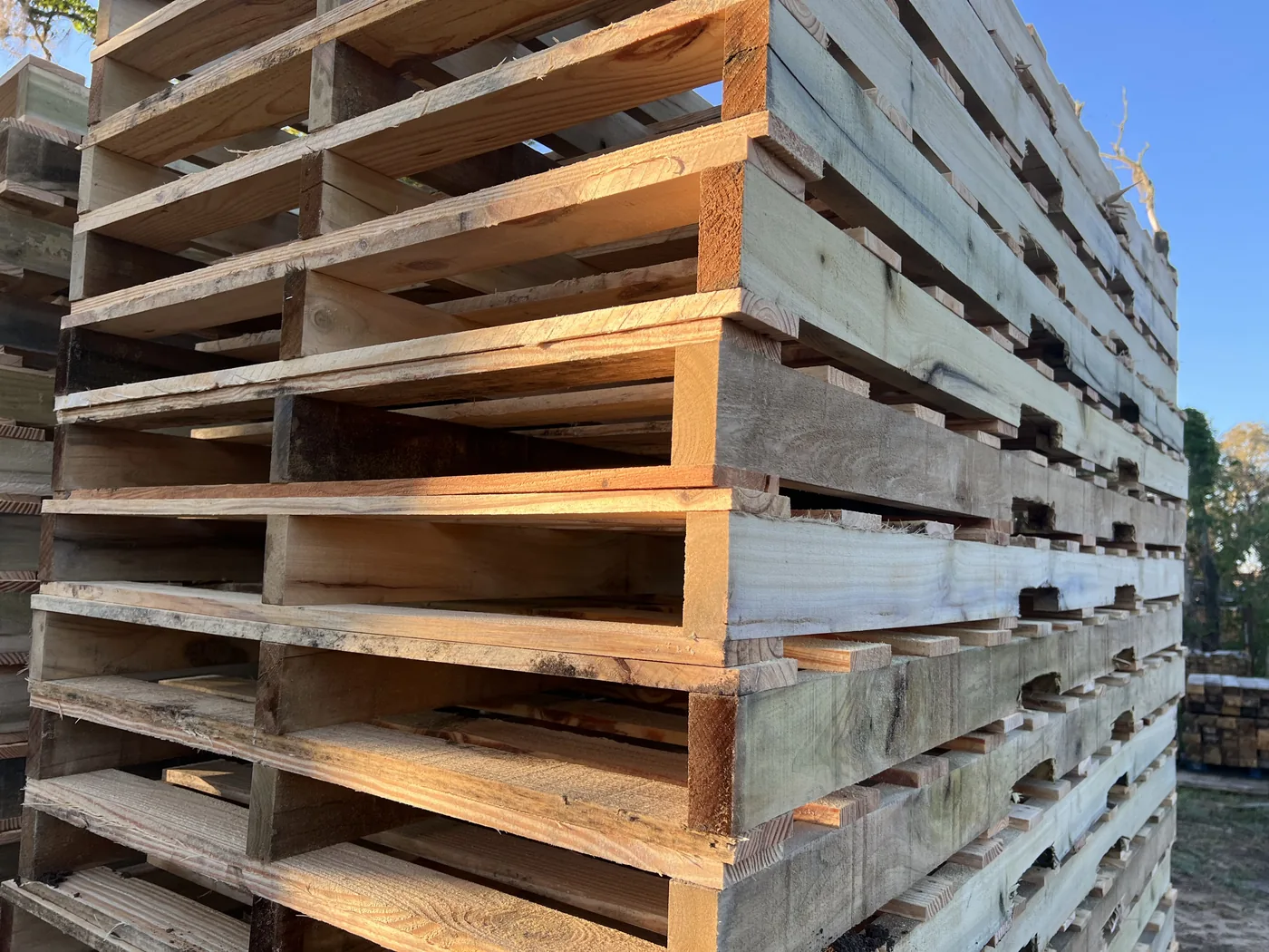 Food and beverage pallets